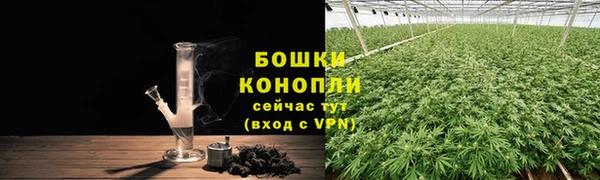 дживик Дмитровск