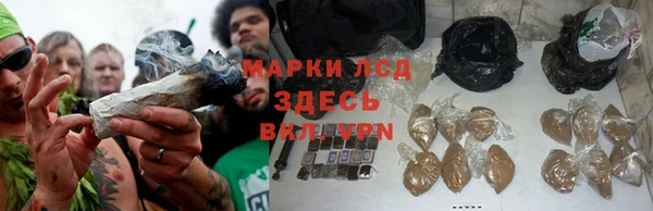 дживик Дмитровск