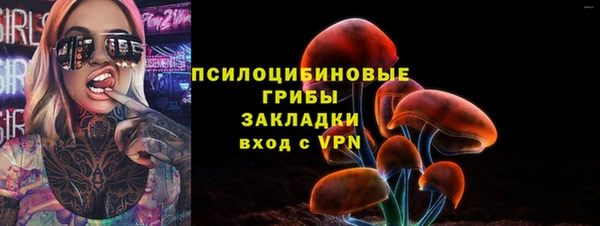 амф Гусев