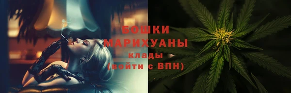 apvp Дмитриев